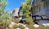 Trail Walking Noisy-sur-École - Le circuit des 25 bosses - Photo 3