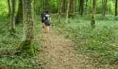 Excursión Marcha nórdica Chimay - La Fagne - Photo 5