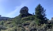 Tour Wandern La Ciotat - la Ciotat grotte Fardeloup - Photo 3