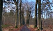 Tour Wandern Belœil - Stambruges, Beloeil, les Ecacheries, mer de sable, Stambruges - Photo 16