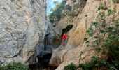 Randonnée Marche Ollioules - Chateau Vallon - Oppidum - Meulerie - Grotte patrimoine - vallon du Destel - Grotte des Joncs 9 - Four à cade - Appier - Four à chaux - Photo 16