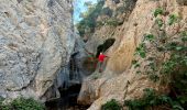 Excursión Senderismo Ollioules - SityTrail - 1041295 - le-destel-grotte-des-joncs - Photo 16