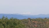 Excursión Senderismo Val-Revermont - mont myon - Photo 1