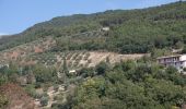 Trail On foot Gubbio - IT-270 - Photo 8