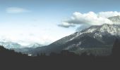 Percorso A piedi Ramsau bei Berchtesgaden - Wanderweg 71 (Rund um den Taubensee) - Photo 2