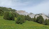 Excursión Senderismo Châtillon-en-Diois - Vallon de Combeau - Photo 10