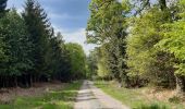 Trail Walking Spa - spa gué des artistes. malchamps . ligne 44 . niveze - Photo 11