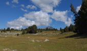 Percorso Mountainbike Saint-Agnan-en-Vercors - Pré Peyret depuis la Coche - Photo 6