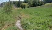 Trail On foot Gondelsheim - Riedwiesenweg - Photo 10