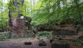 Tour Wandern Offweiler - Offwiller - Photo 5