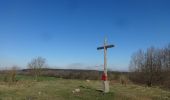 Percorso A piedi Bad Belzig - Naturparkrundwanderweg 11 - Photo 1