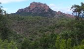 Trail Walking Roquebrune-sur-Argens - les 25 ponts -Roquebrune sur Argens-25-09-20 - Photo 9