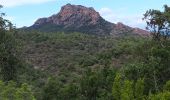 Randonnée Marche Roquebrune-sur-Argens - les 25 ponts -Roquebrune sur Argens-25-09-20 - Photo 9