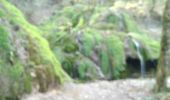 Trail Walking Orgeans-Blanchefontaine - Orgeans Rocher du Boubet et Grottes de Waroly (IBP 89 ) 26 avril 2021 CAF - Photo 8