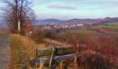 Tour Zu Fuß Goldkronach - Goldkronach Rundwanderweg Nr. 5 - Photo 9