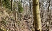 Trail Walking Dinant - Dinant - Anseremme - Photo 16