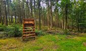 Trail Walking Beauraing - Balade dans la forêt de Felenne-Beauraing - Photo 11