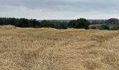 Tour Wandern Thuin - Thuin vallée de la Biesmelle 16 km - Photo 18