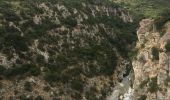 Tocht Stappen Minerve - Minerve - Gorges du Briant par le GR77 - Photo 18