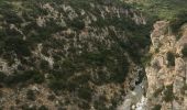 Randonnée Marche Minerve - Minerve - Gorges du Briant par le GR77 - Photo 18