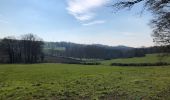 Trail Walking Walcourt - Randonnée autour de Walcourt - Photo 17