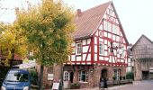 Tour Zu Fuß Steinau an der Straße - Gebietswanderweg Rotes Dreieck, Steinau - Zubringer Eselsweg - Photo 2