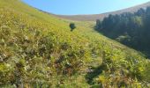 Excursión Senderismo Fos - Cap des Hittes en boucle - Photo 13