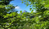 Tocht Stappen Saint-Pierre-de-Chartreuse - Col des Aures 8 km - Photo 4