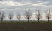 Percorso Marcia Sluis - Retranchement Cadzand 16,7 km - Photo 7