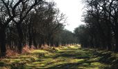 Tocht Te voet Allstedt - Grüner Balken - Photo 4