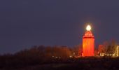 Tour Zu Fuß Ingelheim am Rhein - Rundweg Westerberg - Photo 7