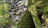 Trail Walking Saint-Philbert-sur-Orne - Roche d’oëtre sentier du Granite - Photo 4
