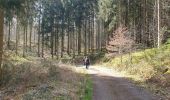 Trail Walking Gedinne - Balade de Vencimont à Sart-Custine - Photo 2