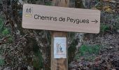 Excursión Senderismo Crespinet - Peygues depuis le pont des Corbières  - Photo 15