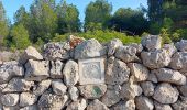 Trail Walking Leucate - plateau de leucat sud-est sans grand route  - Photo 7