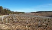 Randonnée Marche Celles-sur-Ource - Les hauts de Celles sur Ource et Neuville sur Seine - Photo 7