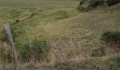 Tocht Auto Peyre en Aubrac - javols  - Photo 5