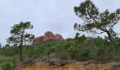 Trail Walking Saint-Raphaël - cap roux rocher barthelemy - Photo 13