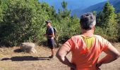 Trail Walking Moca-Croce - mont San petru - Photo 11