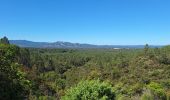 Tour Wandern Puget-sur-Argens - La lieutenante avec Jean-Pierre - Photo 3