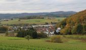 Percorso A piedi Gladenbach - Karl-Lenz-Weg - Photo 10