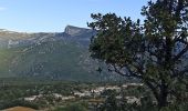 Tour Wandern Roquefort-la-Bédoule - Le Grand Caunet/ Chap St André/vieux Roquefort  - Photo 18