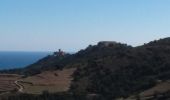 Trail Walking Collioure - Tour de Madeloc par les cols 15 km 741 m D+ - Photo 1
