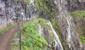 Trail Walking Machico - Madère : du tunnel de Caniçal à Porto da Cruz - aller en bus - Photo 16