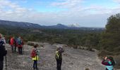 Randonnée Marche Orgon - PF-Orgon - La Plaine des Alpilles - Photo 4