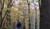 Tour Wandern Trooz - FORÊT VILLAGE  - Photo 10