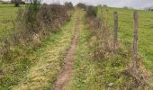 Trail Walking Aywaille - Elfique 13km - Photo 3