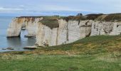 Excursión Senderismo Étretat - Les falaises d'Etretat - Photo 5