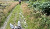 Tour Reiten Vielsalm - Mont-le-Soie Boucle orange - Photo 4