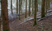 Trail Walking Souligny - Souligny 23km le 09/02/2021 - Photo 3